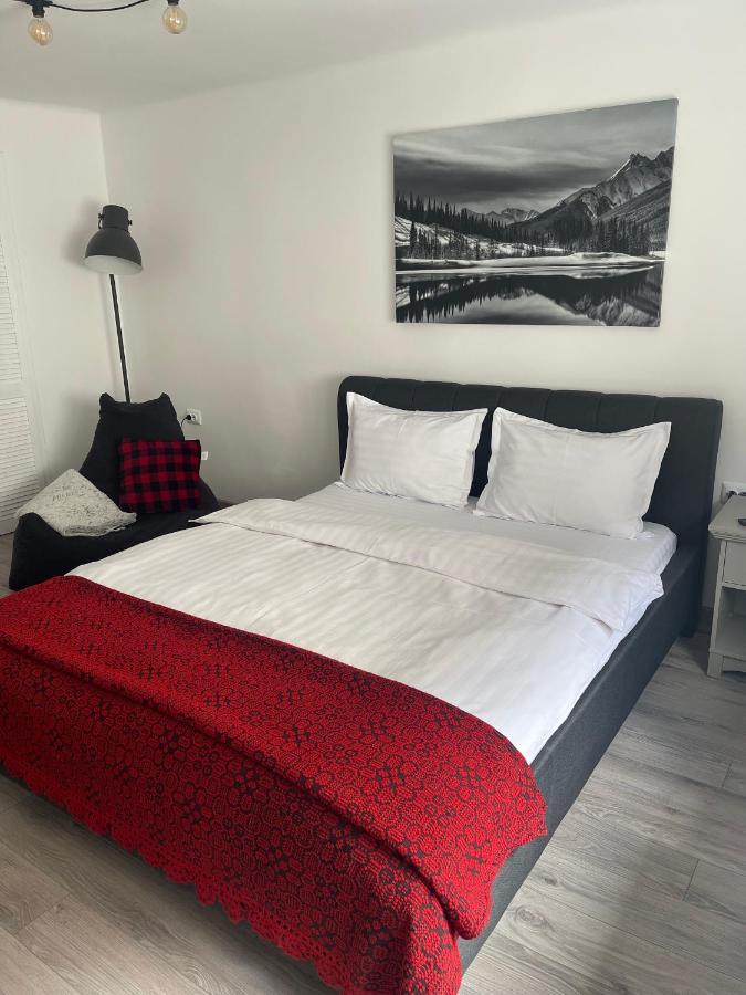 Apartment Maple Brasov