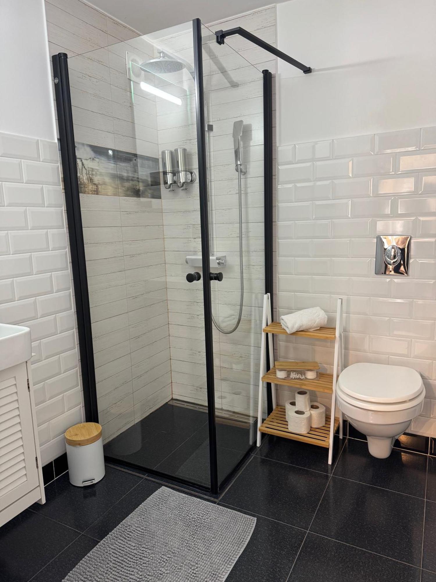 Maple Apartment Brasov